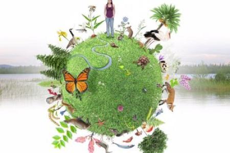 Biodiversidad