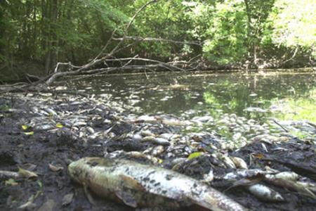 Contaminacion bienes naturales